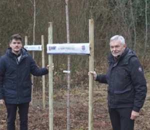 Megújuló városi parkerdők