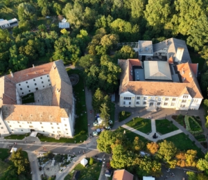 Fontos megóvni a zöldfelületeket