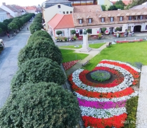 Hétszázezer négyzetméternyi zöldfelületet kezelnek